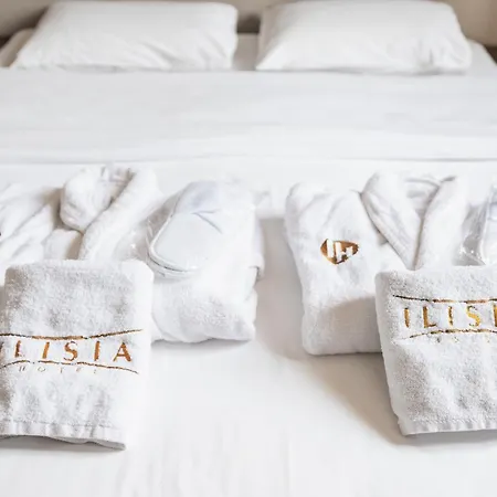 伊利西亚酒店 酒店 2*